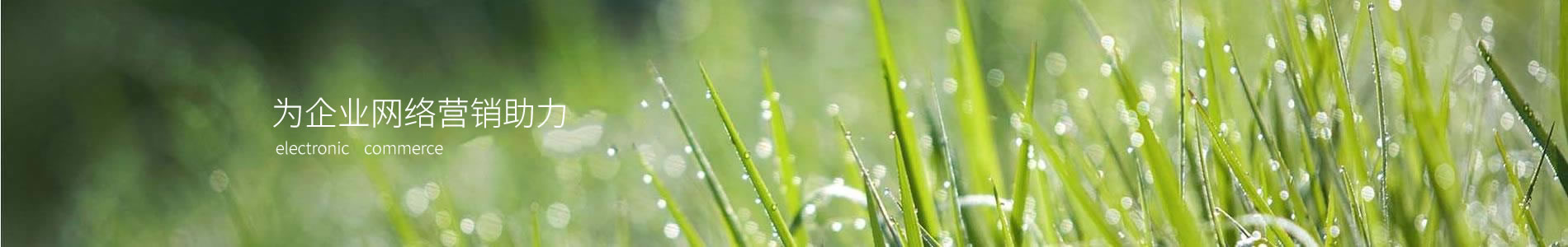 ٵӿƼ޹˾³ľֹ˾